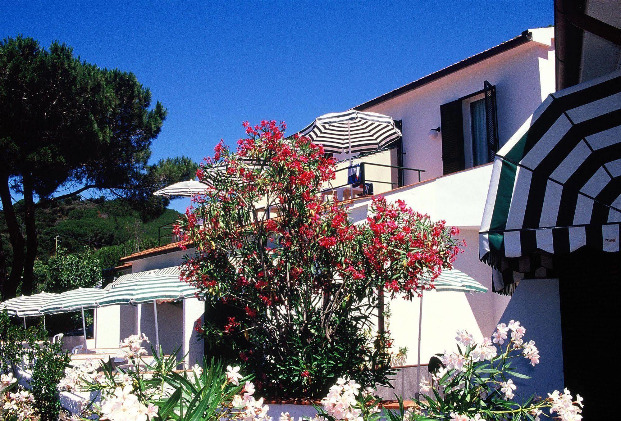 Paradiso